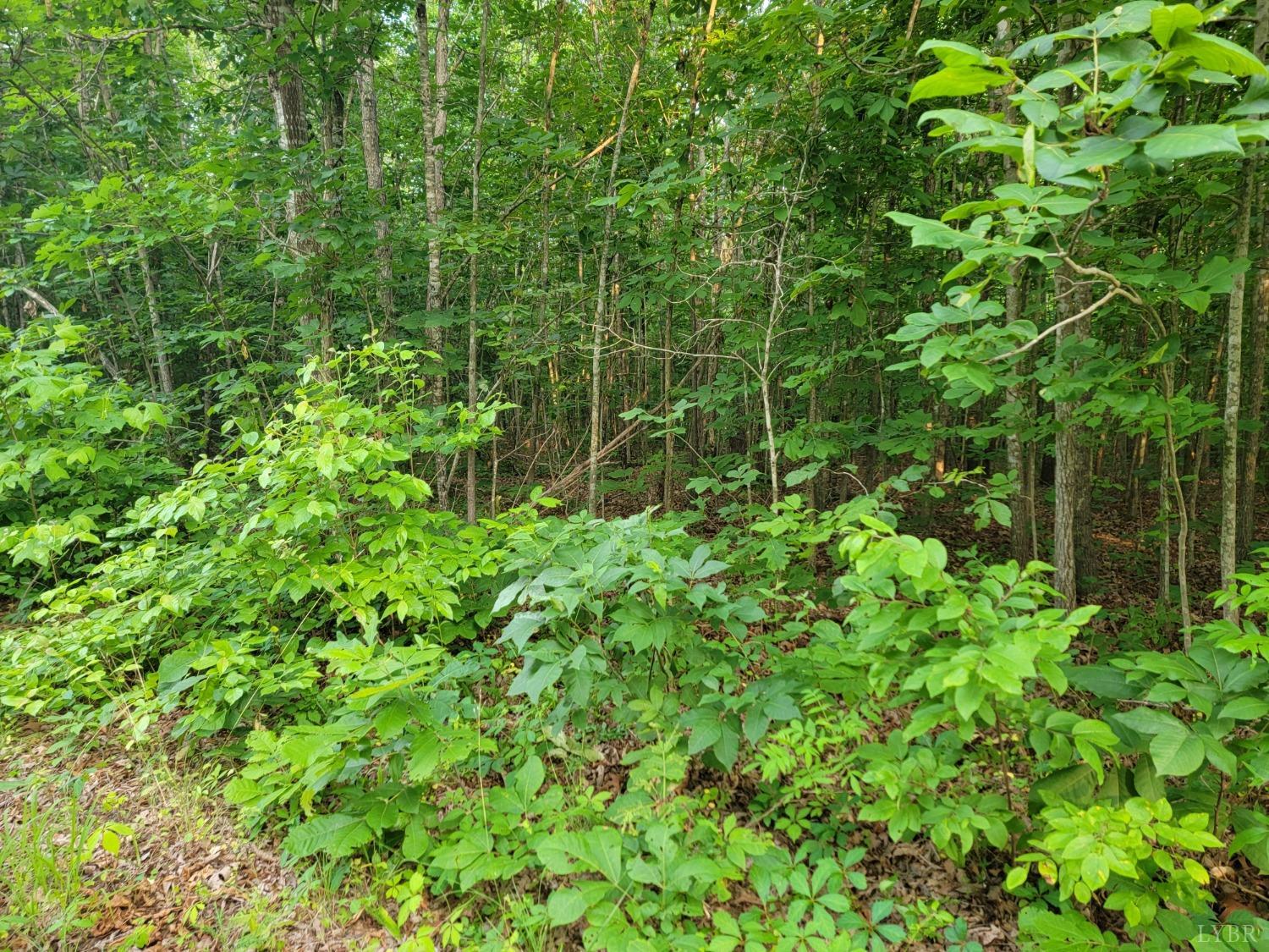 3 Lewis Ford Road, Brookneal, Virginia image 2