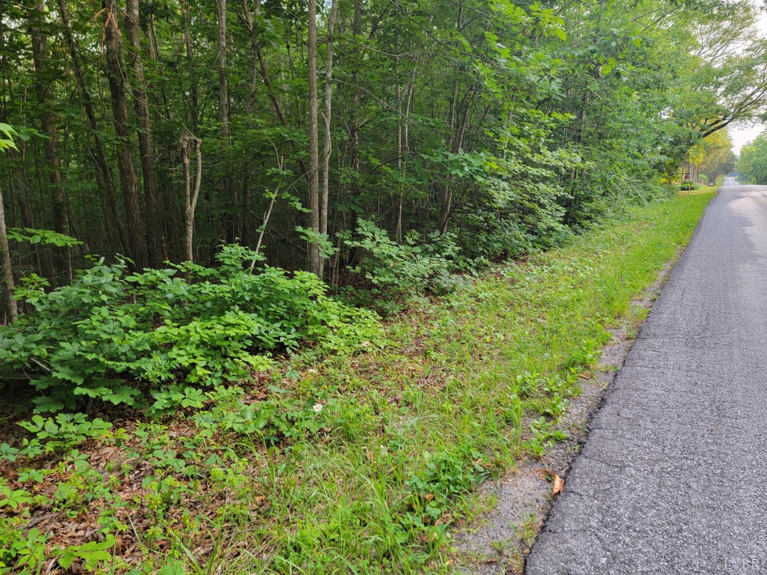 3 Lewis Ford Road, Brookneal, Virginia image 5