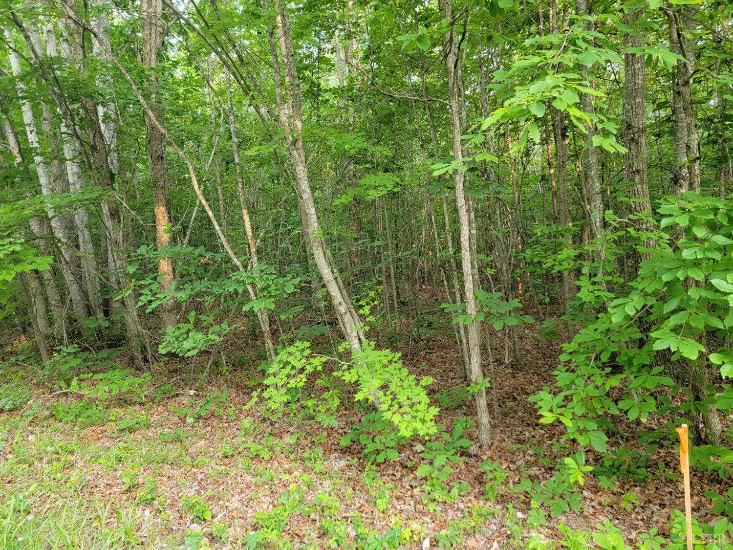 3 Lewis Ford Road, Brookneal, Virginia image 6