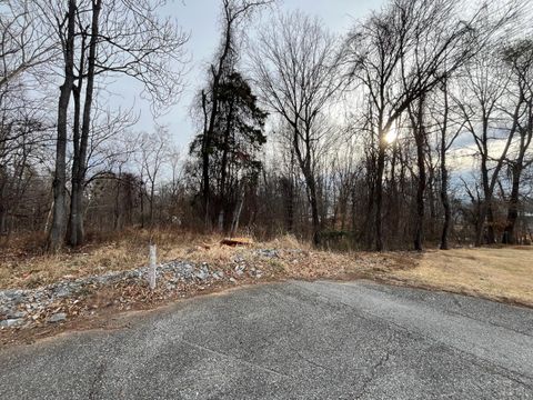 Photo of 2829 Confederate Avenue, Lynchburg, VA 24501 (MLS # 364254)