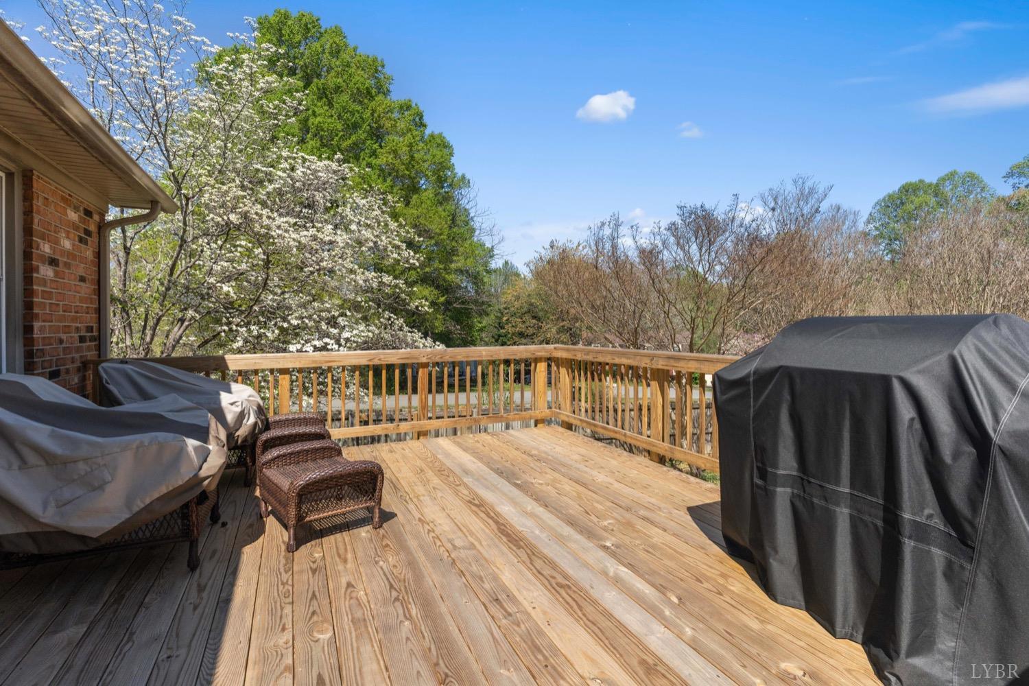 119 Stonehouse Drive, Lynchburg, Virginia image 10