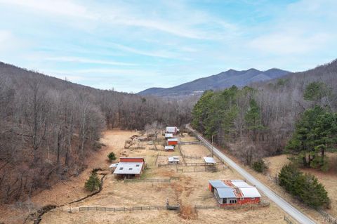 Tiny photo for 506 Peters Hollow Rd, Monroe, VA 24574 (MLS # 364057)