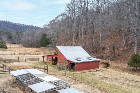 Tiny photo for 506 Peters Hollow Rd, Monroe, VA 24574 (MLS # 364057)