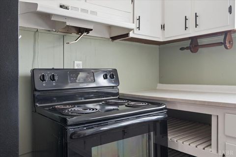 Tiny photo for 1074 Throckmorton Trail, Scottsburg, VA 24589 (MLS # 364729)