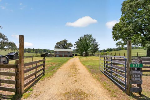 Tiny photo for 935 Turkey Mountain Rd. RD, Amherst, VA 24521 (MLS # 366369)