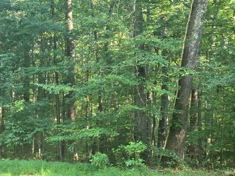 Tiny photo for 1545 Cumberland Road, Farmville, VA 23901 (MLS # 364808)