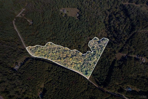 Photo of 0 Walkers Mountain Road, Arrington, VA 22922 (MLS # 369815)