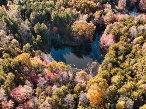 Tiny photo for 7941 Sugar Hill Road, Brookneal, VA 24528 (MLS # 362862)