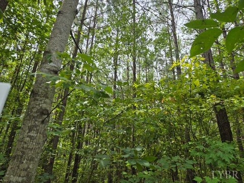 Photo for 0 Miller Camp Road