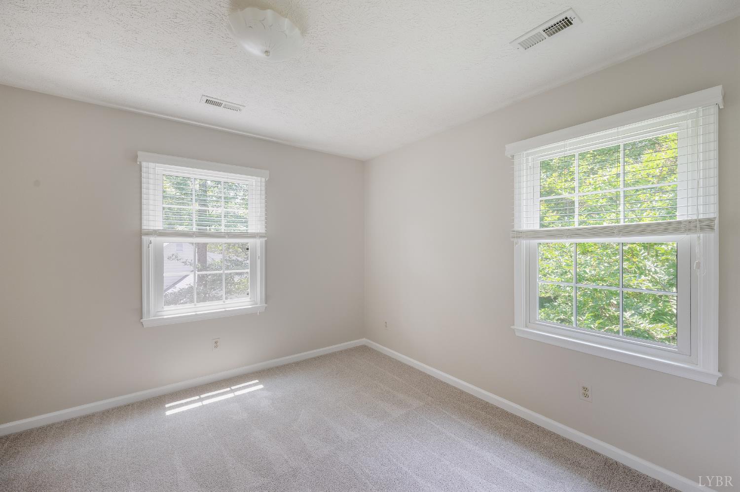 117 Hunters Creek Road, Forest, Virginia image 24