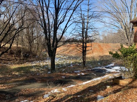 Tiny photo for 4143 Waterlick Road, Forest, VA 24551 (MLS # 362966)
