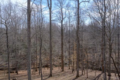 Tiny photo for 425 Harvest Court, Lynchburg, VA 24502 (MLS # 364647)
