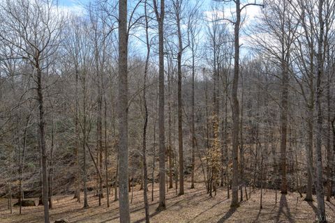 Tiny photo for 425 Harvest Court, Lynchburg, VA 24502 (MLS # 364647)