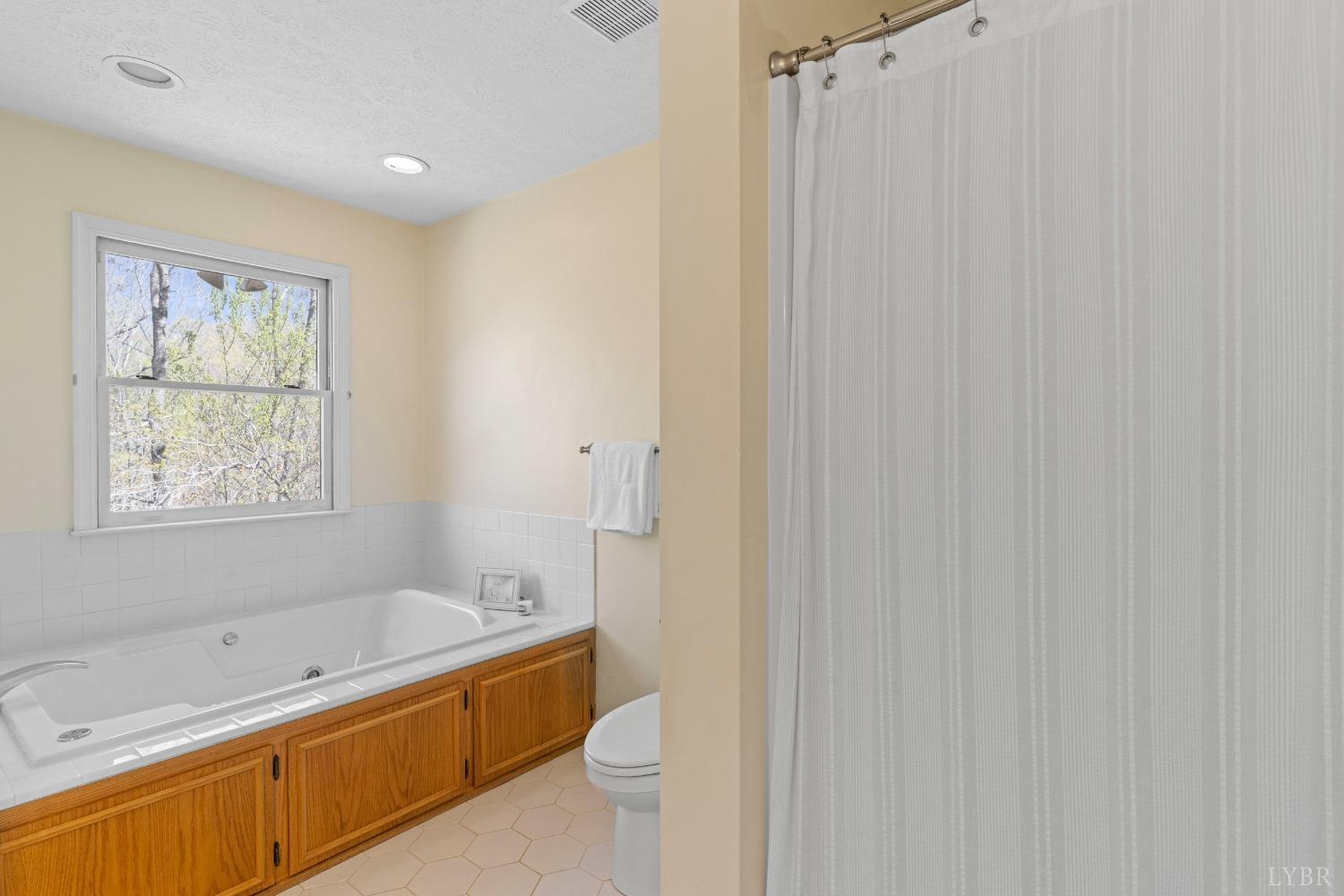 504 Meadowridge Drive, Lynchburg, Virginia image 25