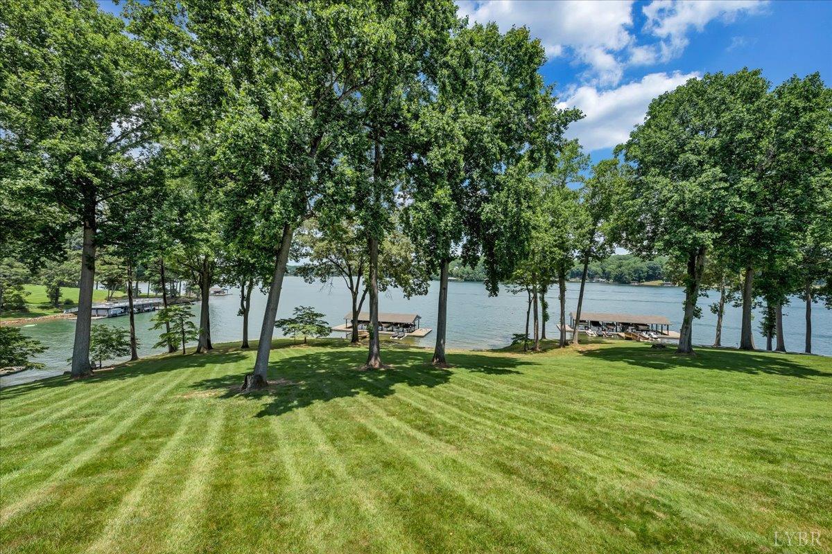191 Shore Drive, Moneta, Virginia image 31