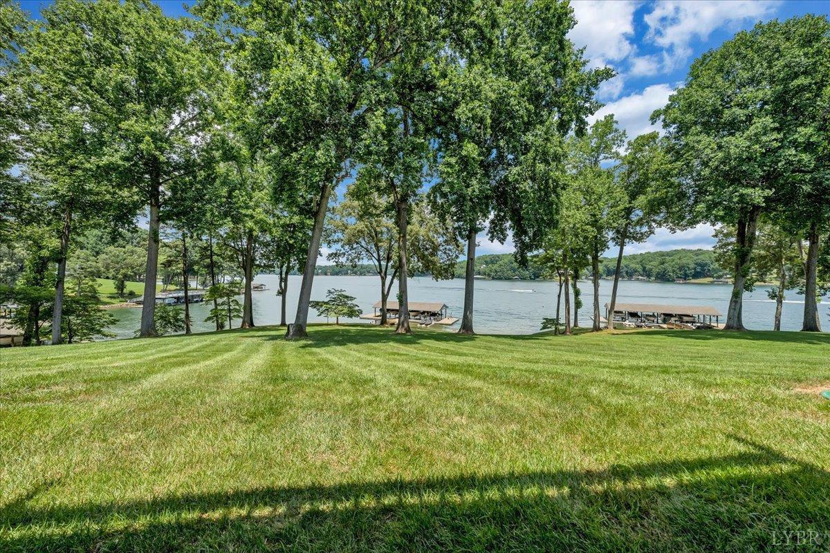 191 Shore Drive, Moneta, Virginia image 48