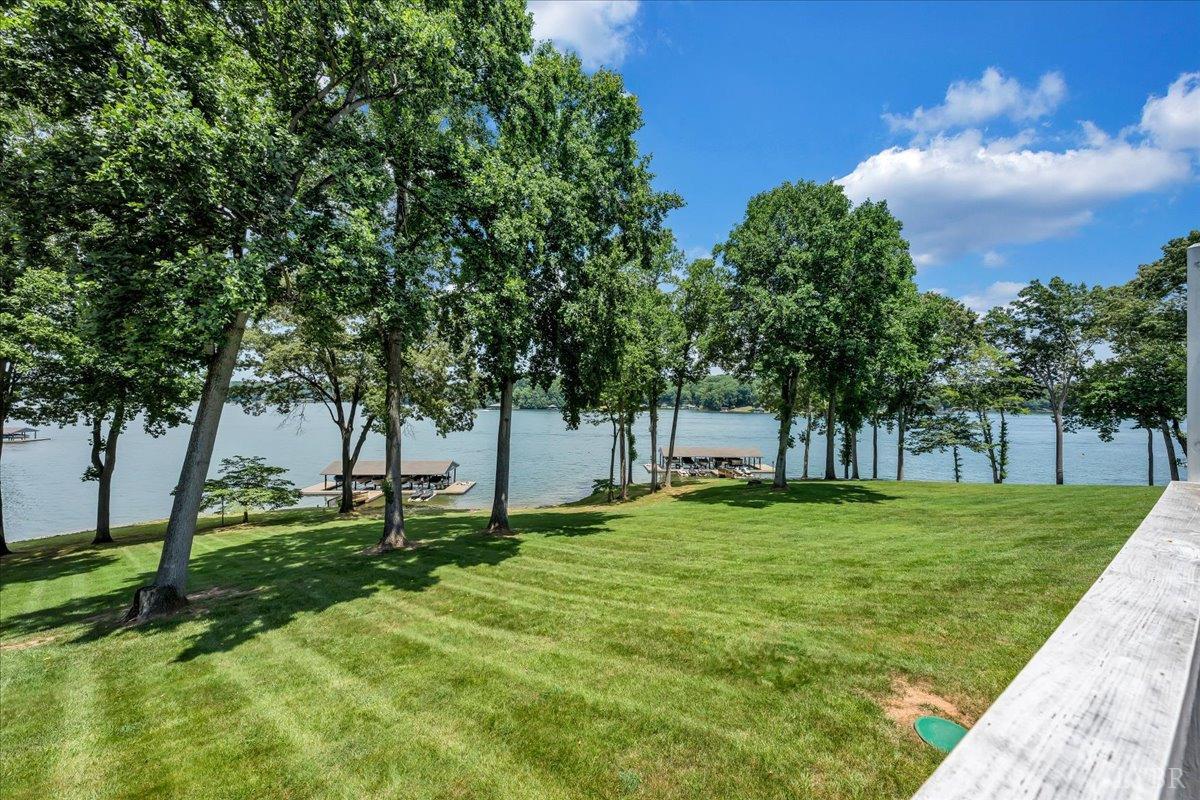 191 Shore Drive, Moneta, Virginia image 32