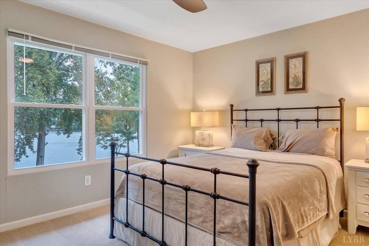 191 Shore Drive, Moneta, Virginia image 35