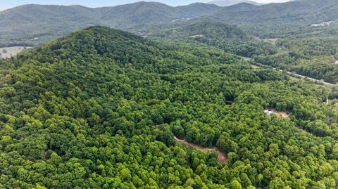 Tiny photo for 280 Hidden Acres Lane, Amherst, VA 24521 (MLS # 366380)