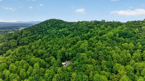 Tiny photo for 280 Hidden Acres Lane, Amherst, VA 24521 (MLS # 366380)
