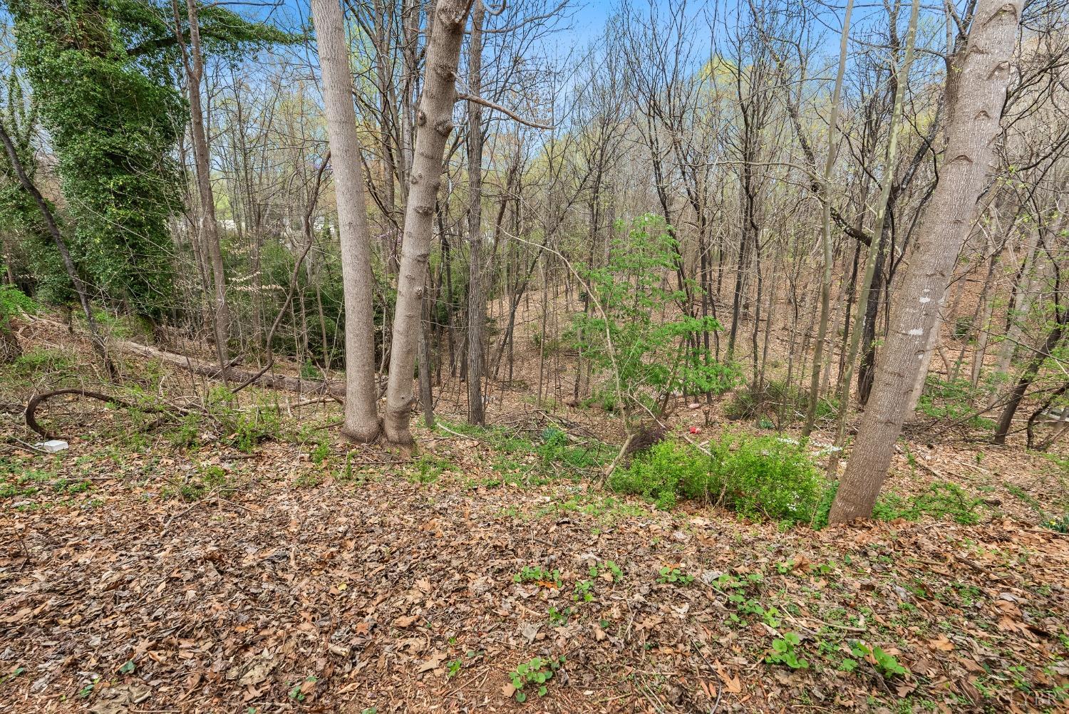 4909 Sycamore Place, Lynchburg, Virginia image 34