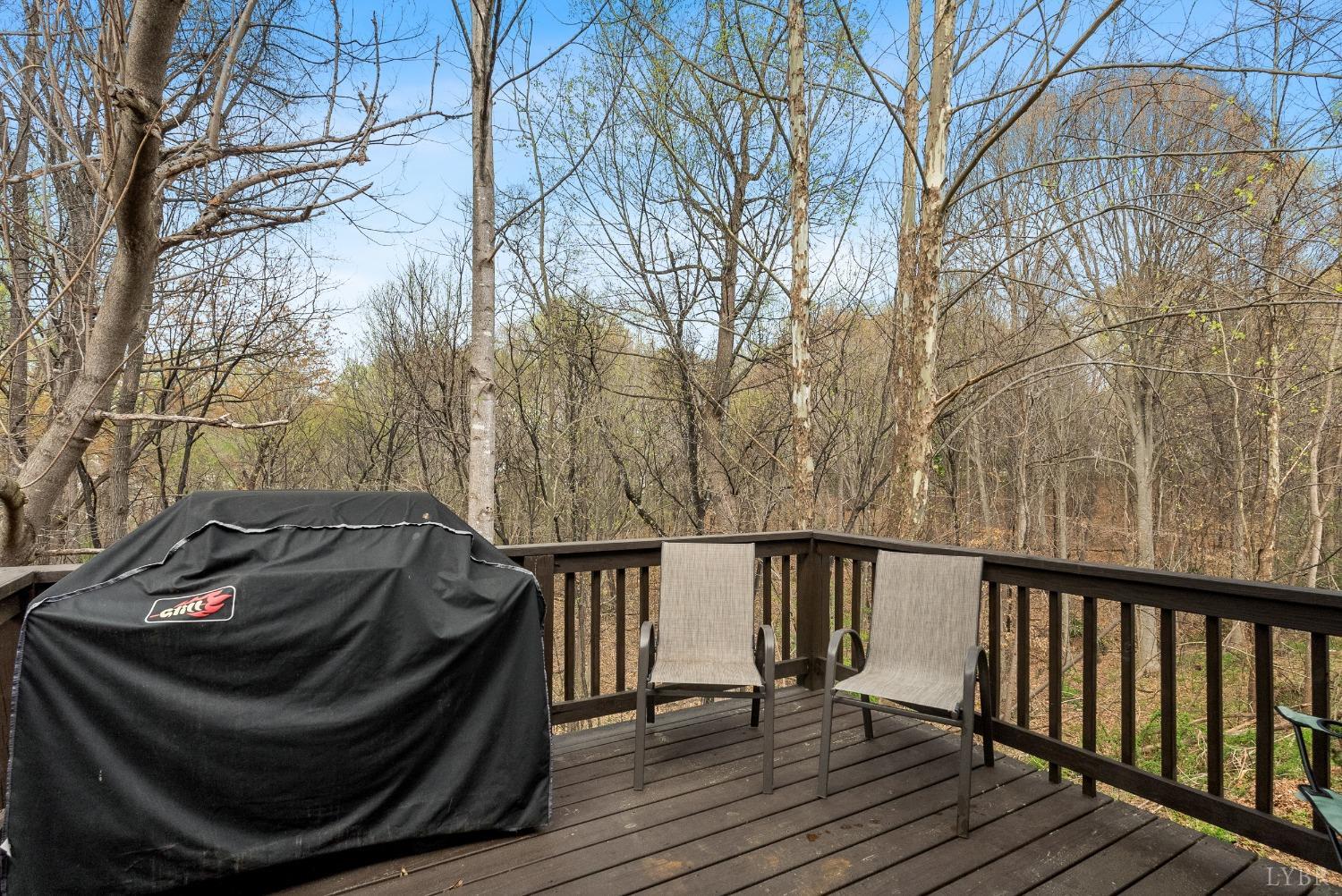 4909 Sycamore Place, Lynchburg, Virginia image 29