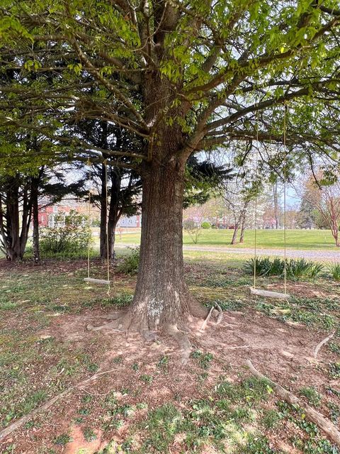 Tiny photo for 260 North Main St St, Amherst, VA 24521 (MLS # 365915)