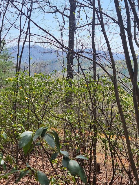 Vacant Land For Sale - 303 Harrison Creek Road<br/> Amherst, VA 24521