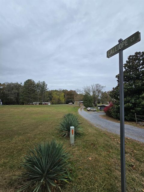 Photo of 1047 Calliope Court, Bedford, VA 24523 (MLS # 362809)