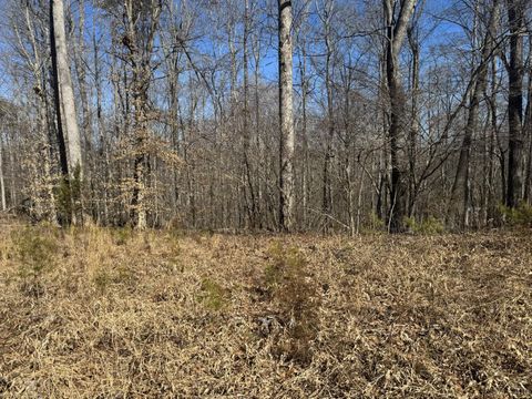 Tiny photo for 7 Atlantic Timber Lane, Gretna, VA 24557 (MLS # 364557)