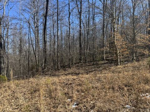 Tiny photo for 7 Atlantic Timber Lane, Gretna, VA 24557 (MLS # 364557)