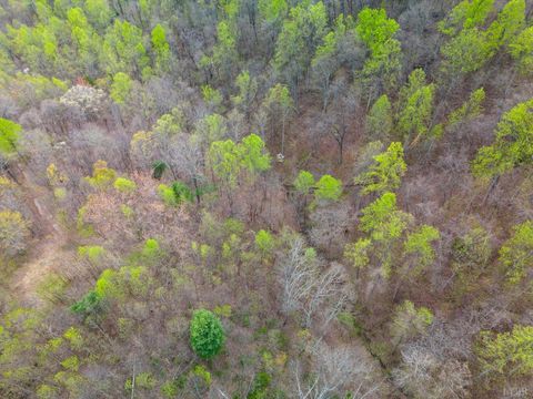Tiny photo for 0 Wares Gap Road, Monroe, VA 24574 (MLS # 366008)