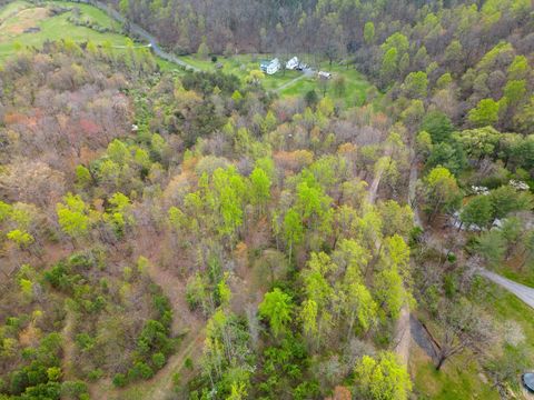 Tiny photo for 0 Wares Gap Road, Monroe, VA 24574 (MLS # 366008)