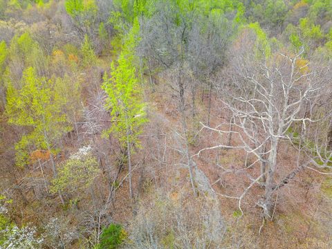Tiny photo for 0 Wares Gap Road, Monroe, VA 24574 (MLS # 366008)