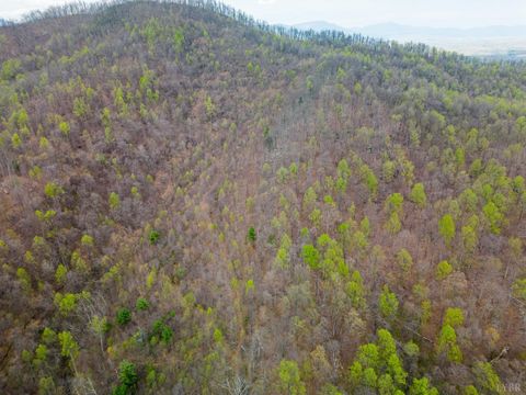 Tiny photo for 0 Wares Gap Road, Monroe, VA 24574 (MLS # 366008)