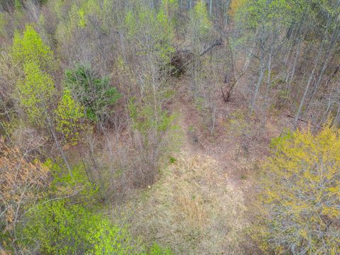 Tiny photo for 0 Wares Gap Road, Monroe, VA 24574 (MLS # 366008)