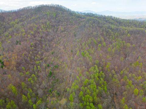 Photo of 0 Wares Gap Road, Monroe, VA 24574 (MLS # 366008)