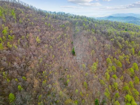 Tiny photo for 0 Wares Gap Road, Monroe, VA 24574 (MLS # 366008)
