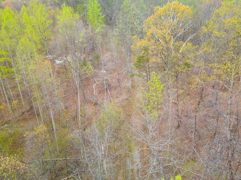 Tiny photo for 0 Wares Gap Road, Monroe, VA 24574 (MLS # 366008)