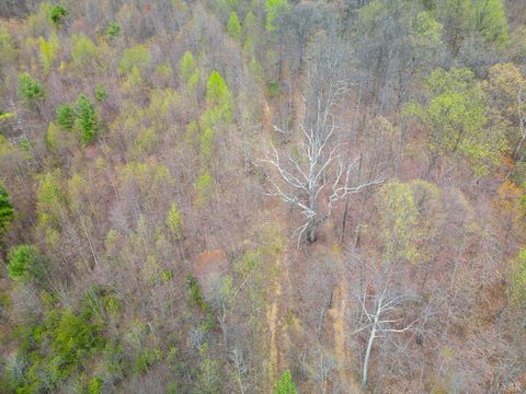 Tiny photo for 0 Wares Gap Road, Monroe, VA 24574 (MLS # 366008)