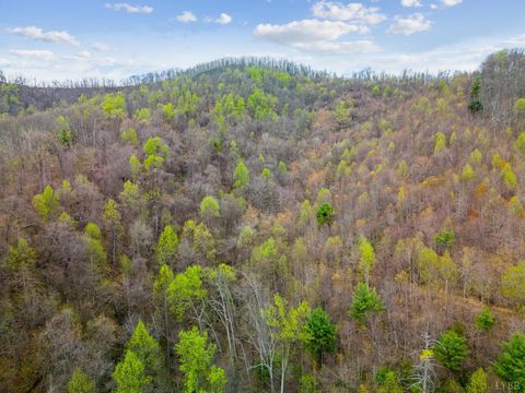 Tiny photo for 0 Wares Gap Road, Monroe, VA 24574 (MLS # 366008)