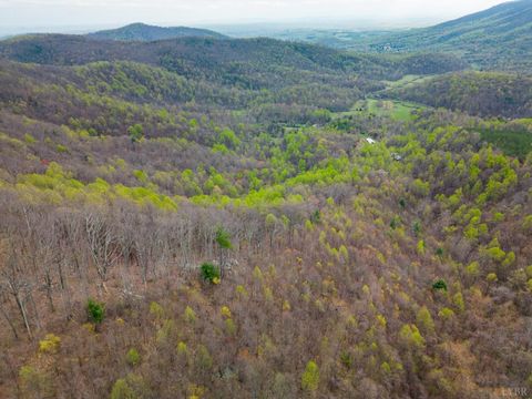 Tiny photo for 0 Wares Gap Road, Monroe, VA 24574 (MLS # 366008)