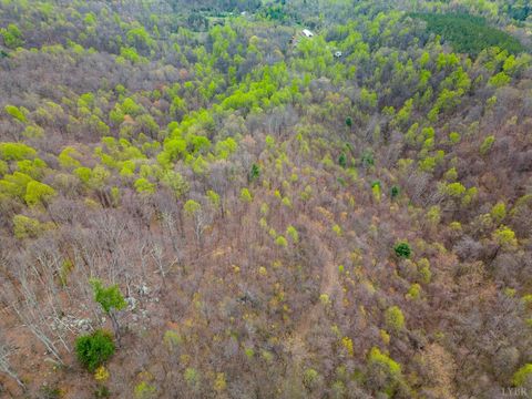 Tiny photo for 0 Wares Gap Road, Monroe, VA 24574 (MLS # 366008)