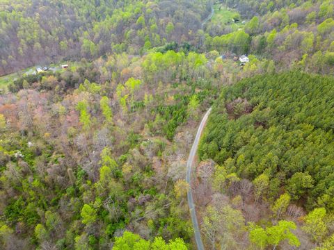 Tiny photo for 0 Wares Gap Road, Monroe, VA 24574 (MLS # 366008)