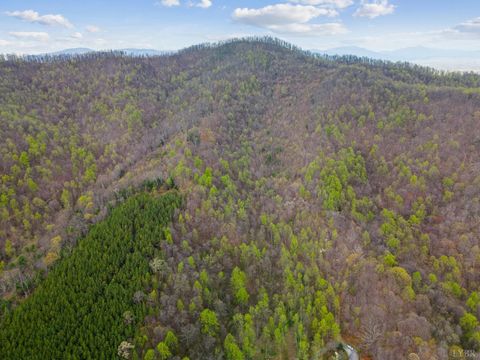 Tiny photo for 0 Wares Gap Road, Monroe, VA 24574 (MLS # 366008)