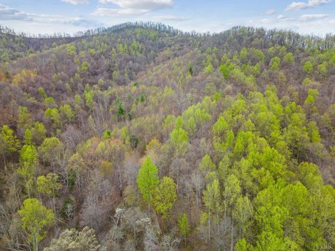 Tiny photo for 0 Wares Gap Road, Monroe, VA 24574 (MLS # 366008)
