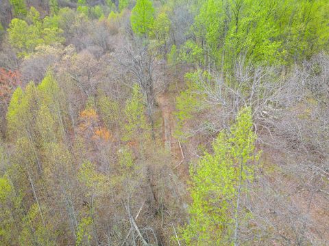 Tiny photo for 0 Wares Gap Road, Monroe, VA 24574 (MLS # 366008)