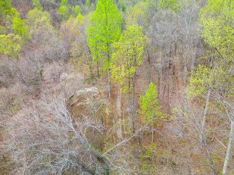 Tiny photo for 0 Wares Gap Road, Monroe, VA 24574 (MLS # 366008)
