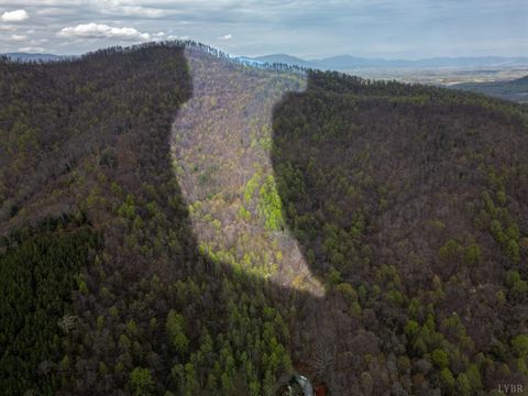 Tiny photo for 0 Wares Gap Road, Monroe, VA 24574 (MLS # 366008)