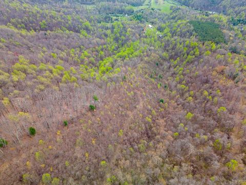 Tiny photo for 0 Wares Gap Road, Monroe, VA 24574 (MLS # 366008)